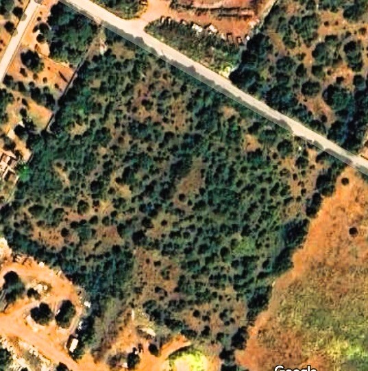 TERRENO RÚSTICO A 1 KM DE LA PLAYA PARA CONSTRUIR UNA VIVIENDA 