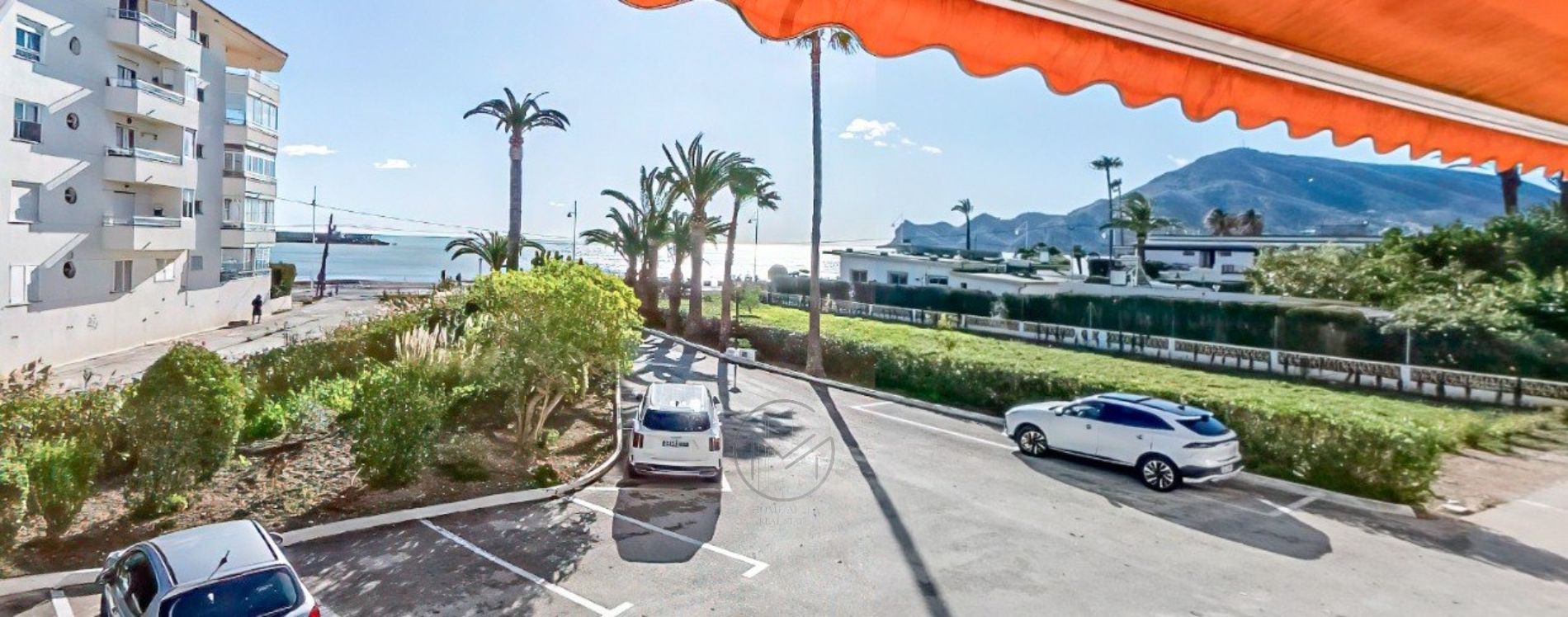 PRIMERA LINEA ALTEA/ALBIR