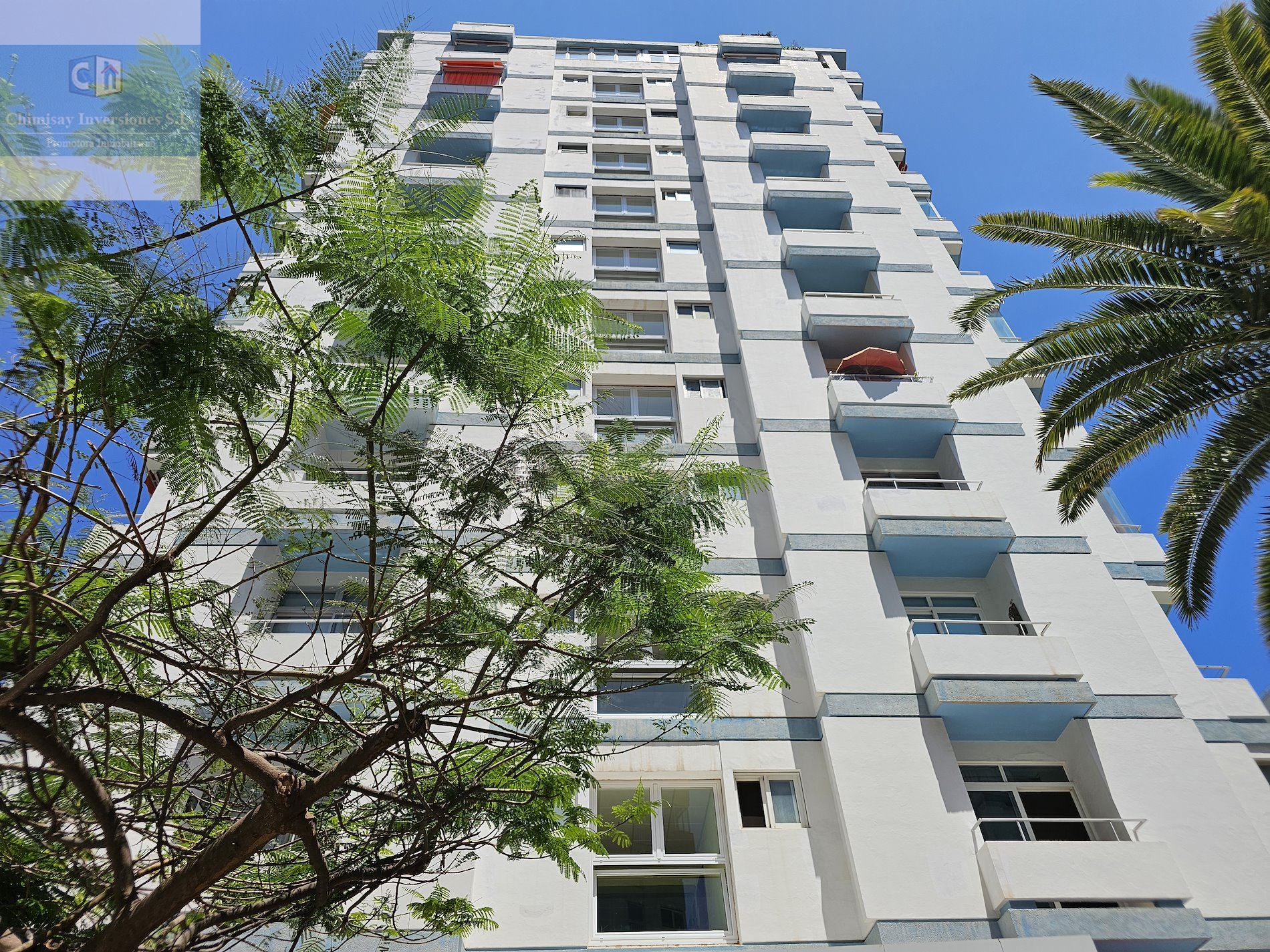 ESTUDIO en PUERTO DE LA CRUZ