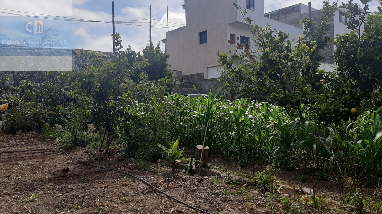 TERRENO en ICOD DE LOS VINOS