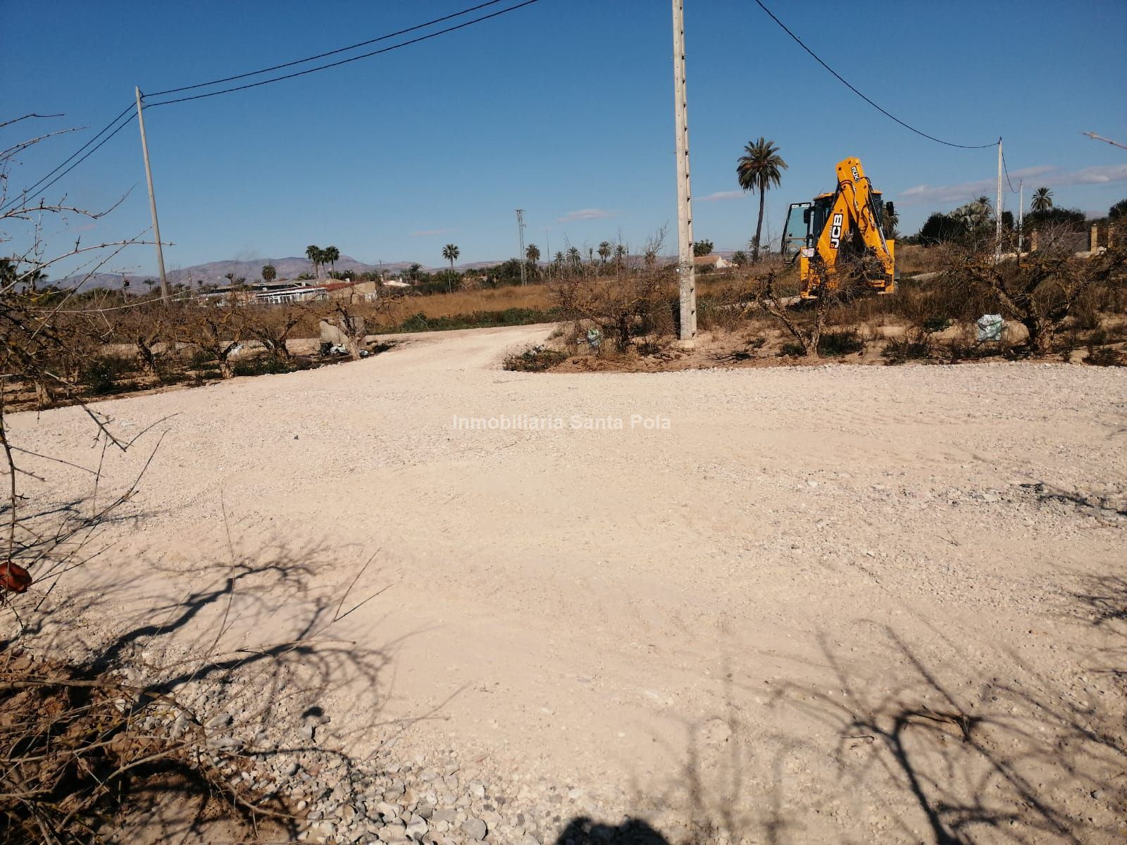 TERRENO en PARTIDA ALGOROS