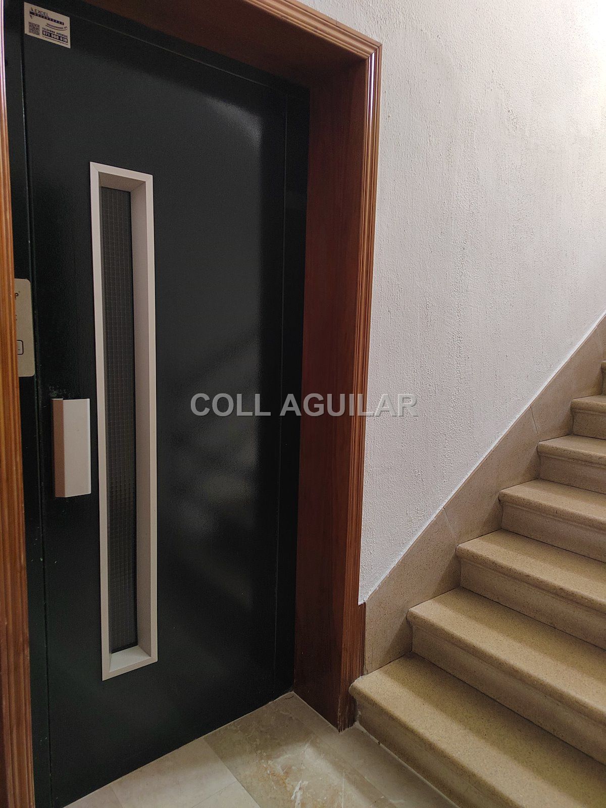 P-1499_e1f15cf3.jpg