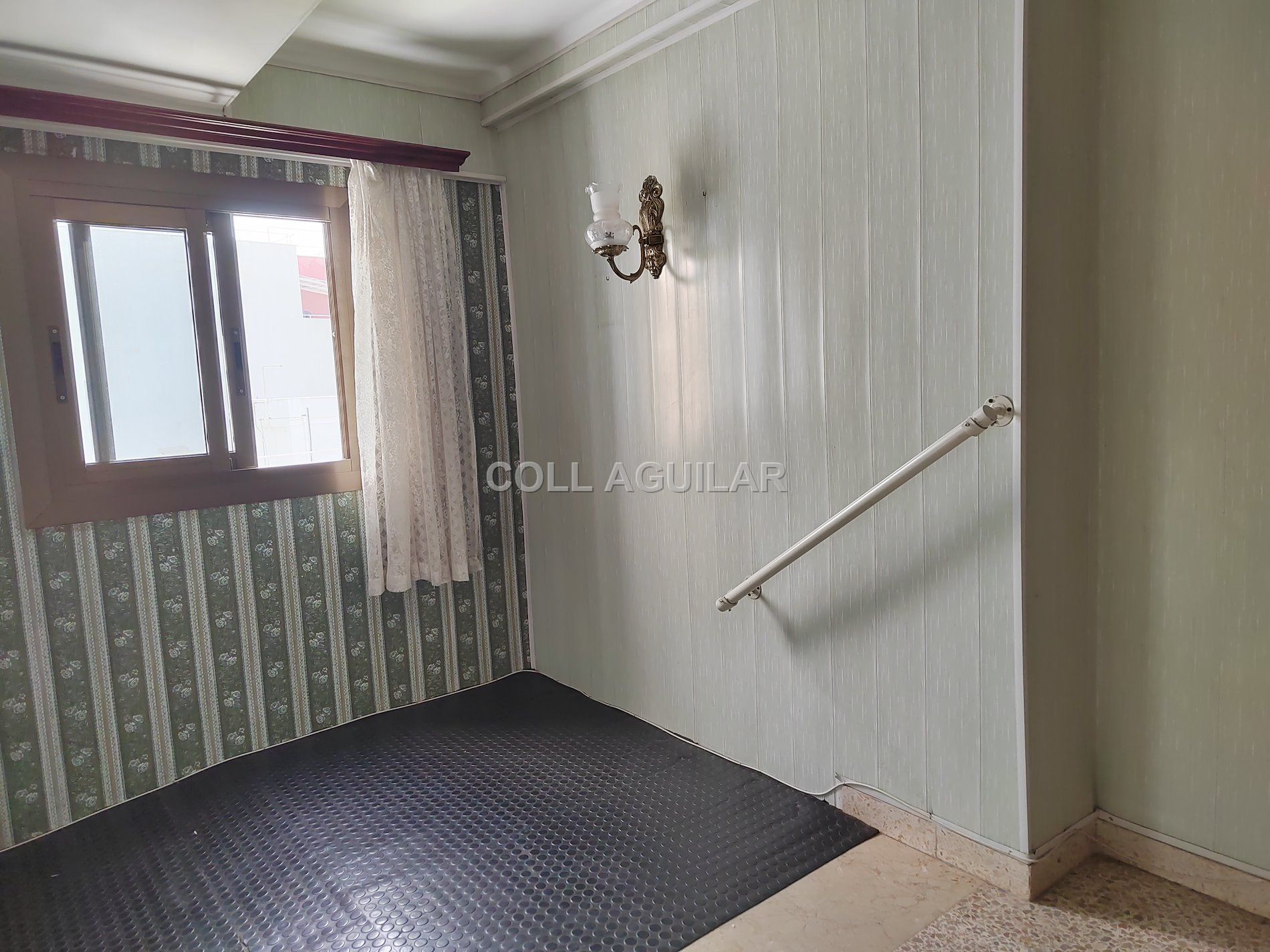 P-1505_028d077d.jpg