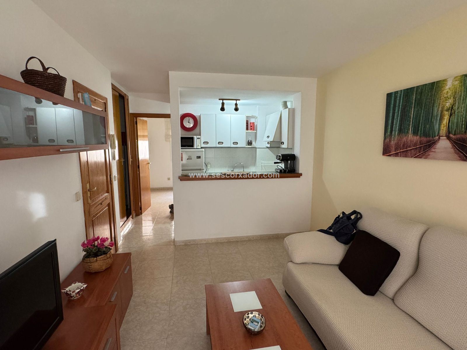 APARTMENT in PALMA DE MALLORCA
