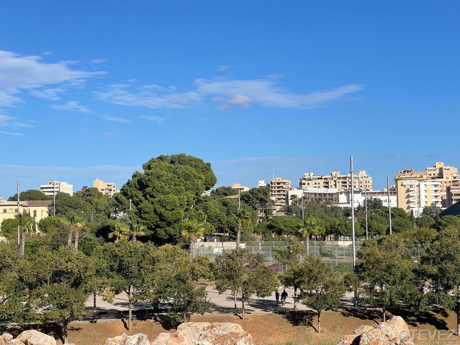 PISO / APARTAMENTO. PALMA DE MALLORCA 