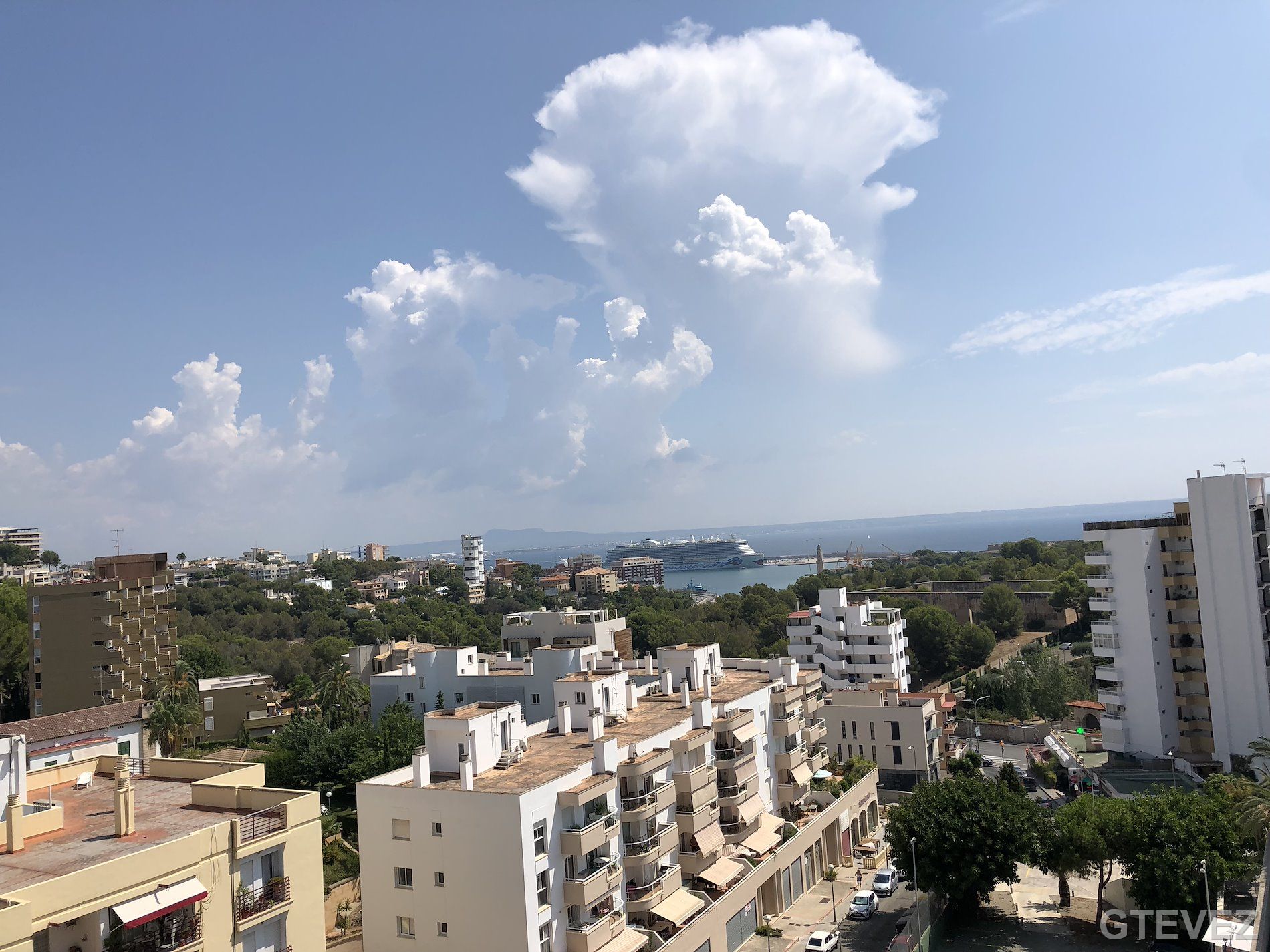 ESTUDIO en PALMA DE MALLORCA