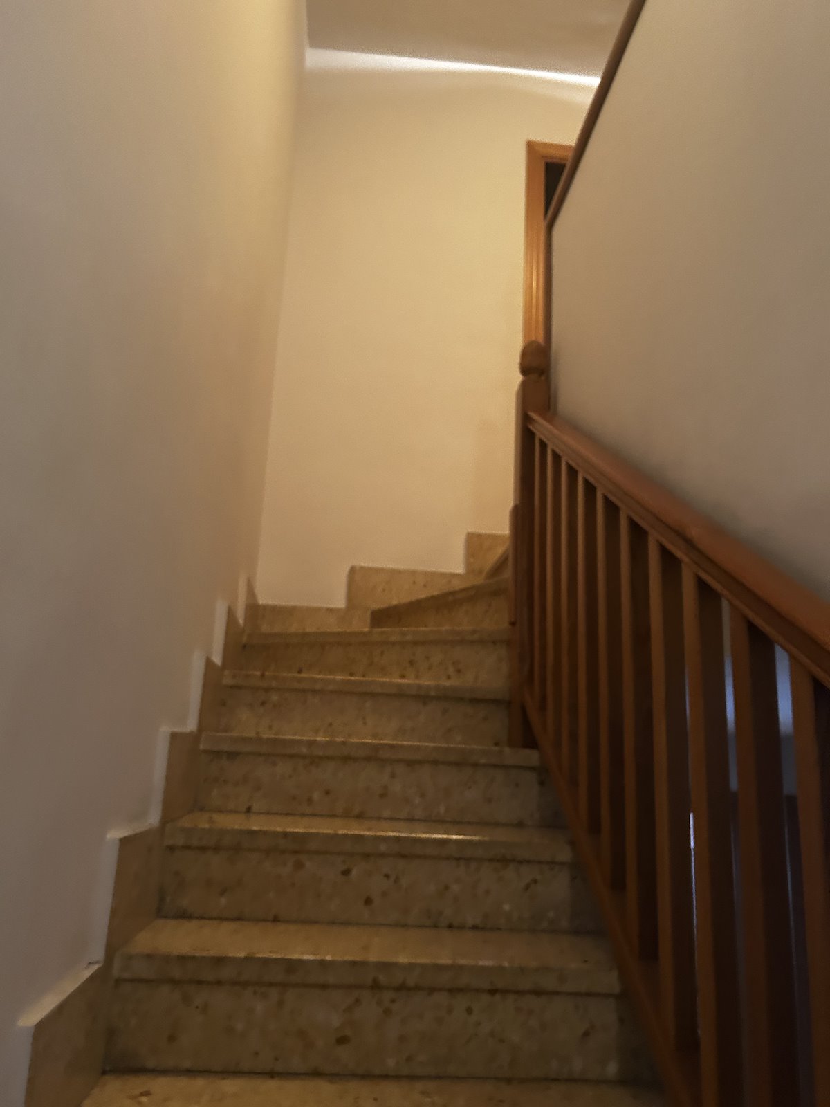 C-113_f4779e00.jpg